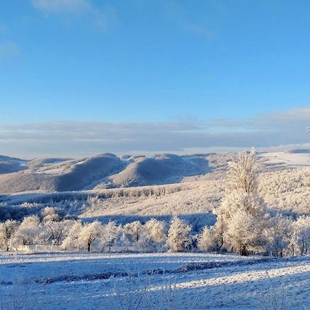 Nature Homestay Trenčín 外观 照片