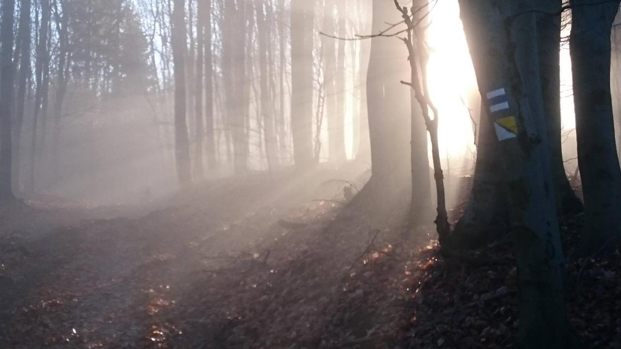 Nature Homestay Trenčín 外观 照片