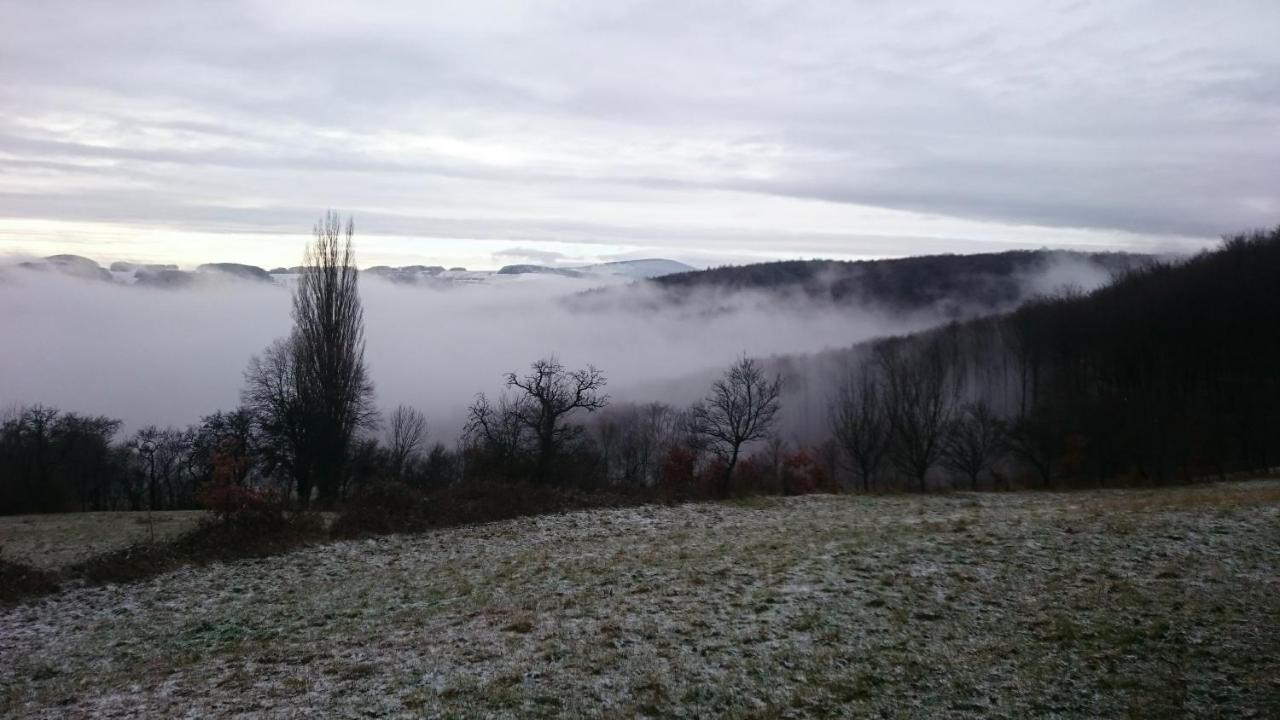 Nature Homestay Trenčín 外观 照片