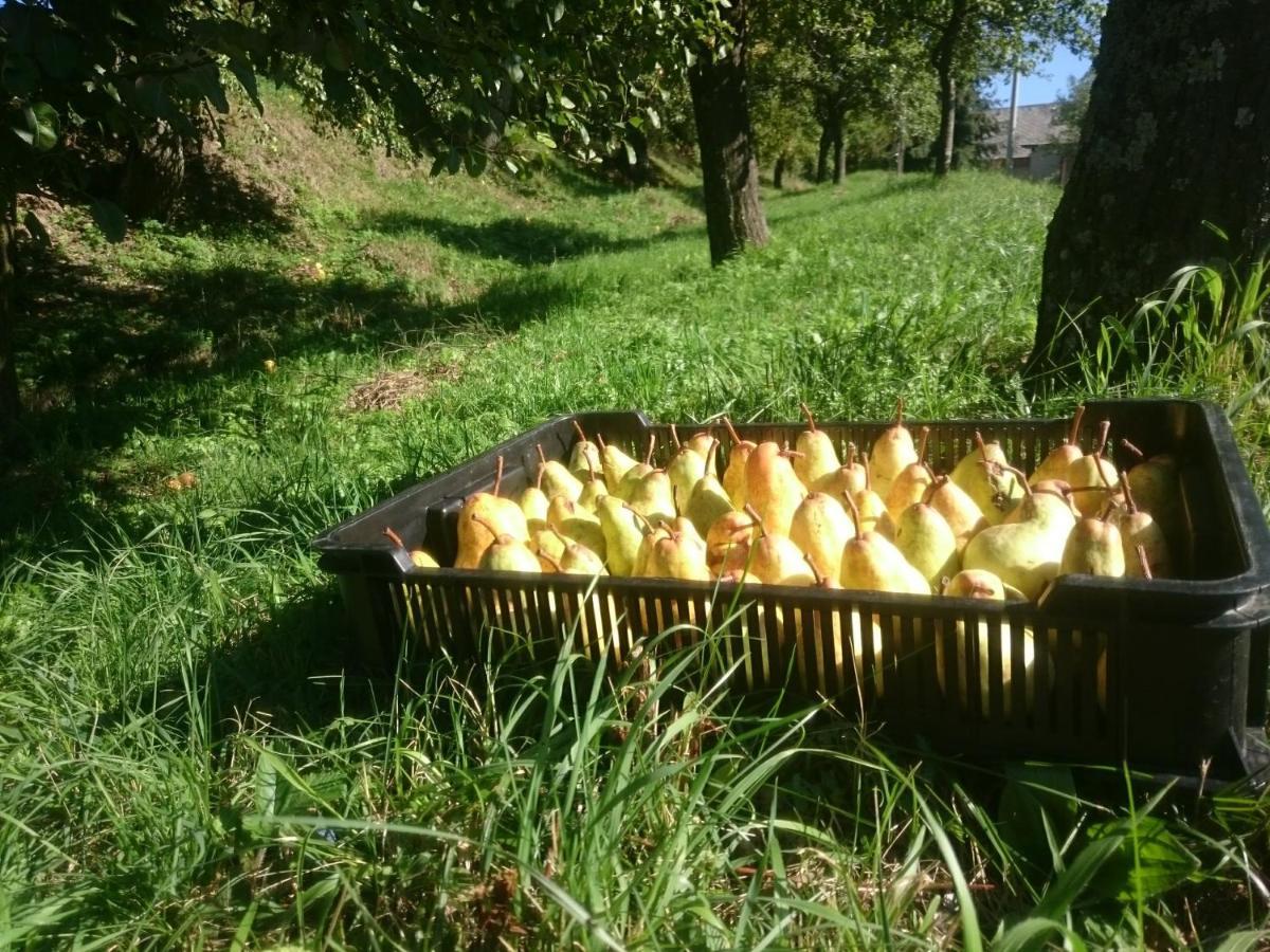 Nature Homestay Trenčín 外观 照片