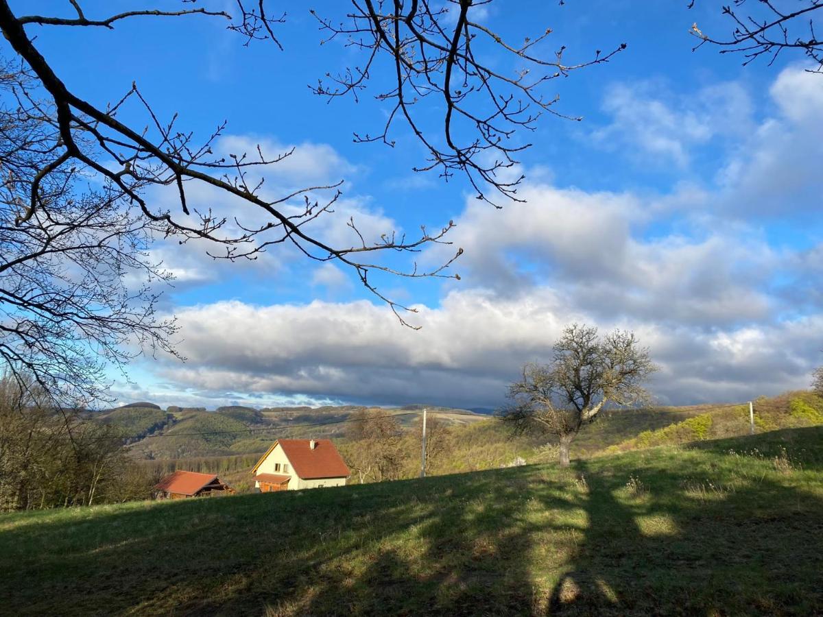 Nature Homestay Trenčín 外观 照片