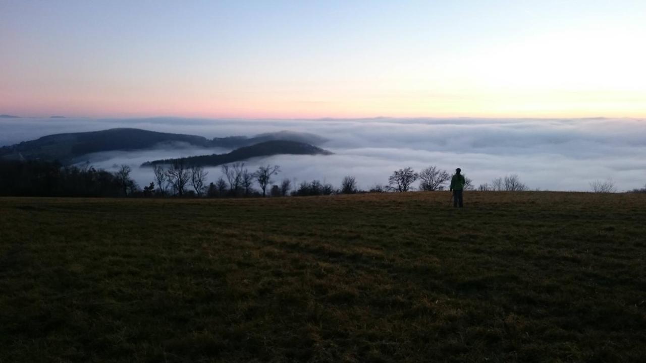 Nature Homestay Trenčín 外观 照片