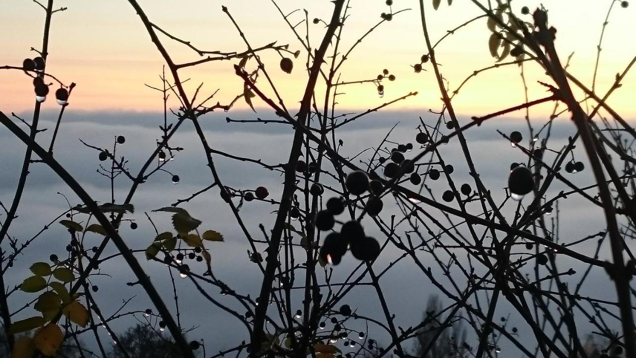 Nature Homestay Trenčín 外观 照片