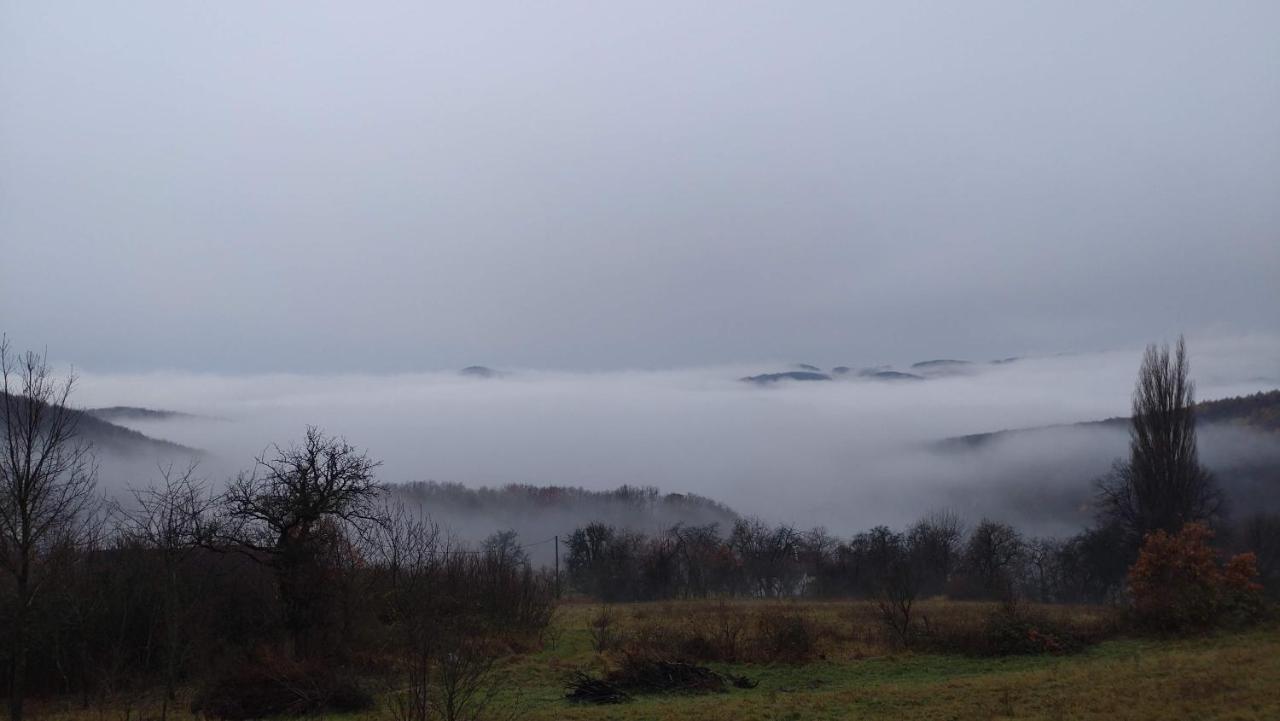 Nature Homestay Trenčín 外观 照片