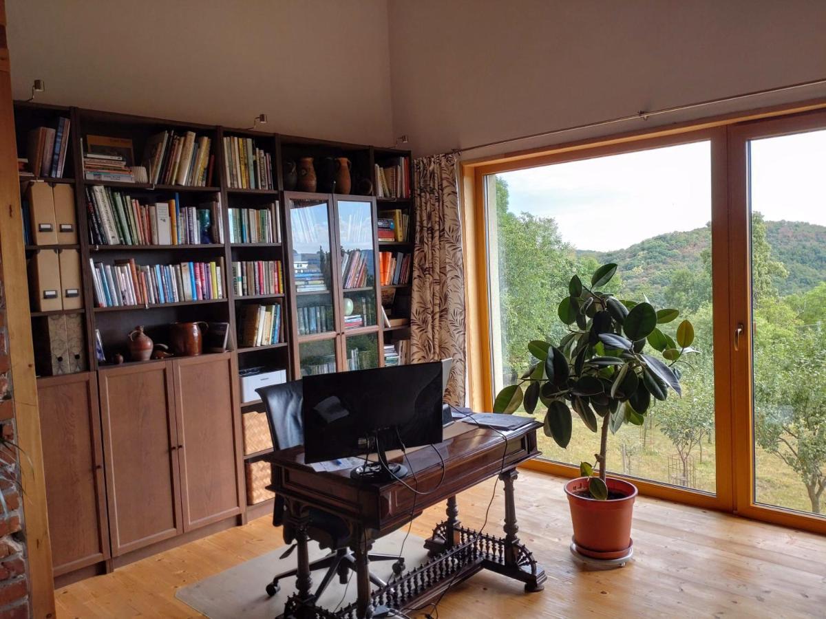 Nature Homestay Trenčín 外观 照片