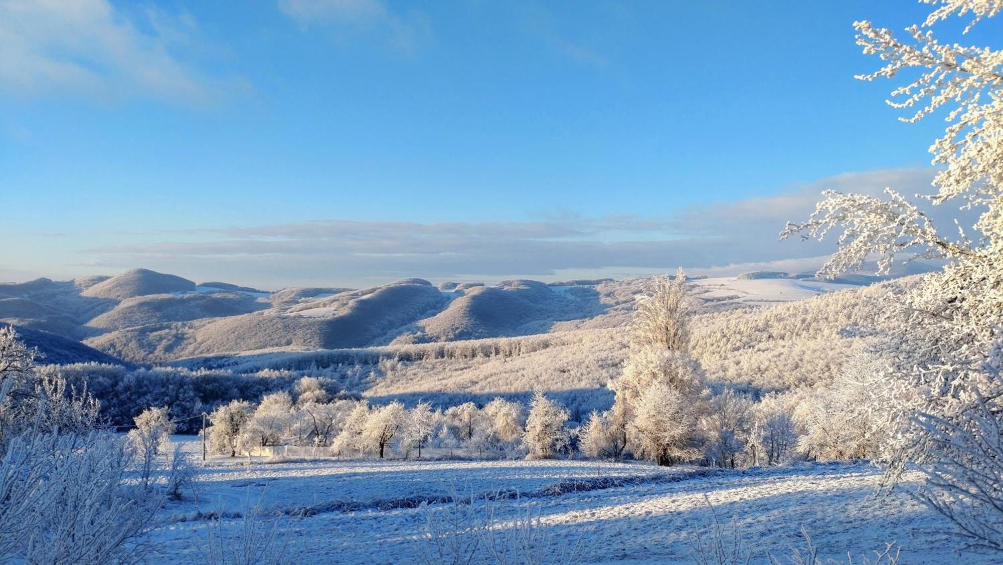 Nature Homestay Trenčín 外观 照片